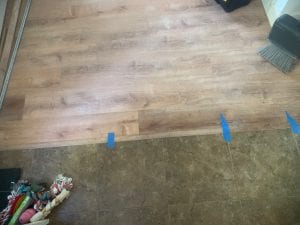 49479519-08DB-48C7-BC9D-5AA22C5C2119